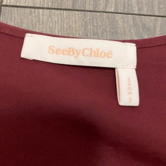 See By Chloe Burgundy Cotton Mini Dress Size 4 NWT - Picture 3 of 10